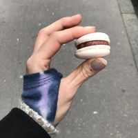 vegan macarons!!!!! at Le Petit Colibri in Lyon