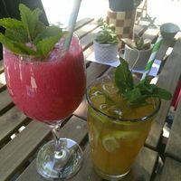 Energizing delta und Tra Da at An Vegan House  in Hamburg