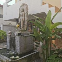 Area outside at Vegan Phangan in Koh Phangan