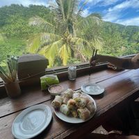 Fresh spring rolls at Sabaïdee in Phonsaly