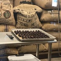 Fresh bon bons at Bixby & Co in Rockland