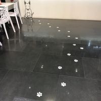 So cute at Frankie's Toasties in Manchester