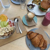   at Joy of Flora in Adelaide