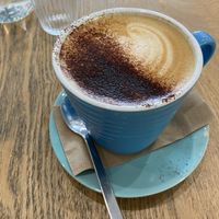 Oat cap   at Joy of Flora in Adelaide