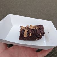 Brownie at Joy of Flora in Adelaide