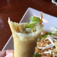 Veggie egg roll. No egg  at Wasabi Thai Sushi in Fort Pierce