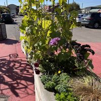   at Duluth Grill in Duluth