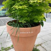 Positive inspiration inside & out at Potiron et Ciboulette in Angers