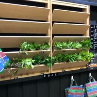 All ingredients are fresh!  at Shū Niàn - Vegine  in Taitung