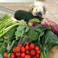  at Dr Helen's Dental and Implant Studio in Prahran East