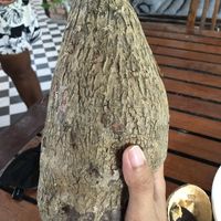 The owner is growing this type of root vegetable, which she also put in my dish. It tasted like a potato.  at Bar Ang in Battambang