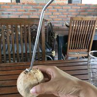 The owner also kindly offered me a mini coconut from her trees.  at Bar Ang in Battambang
