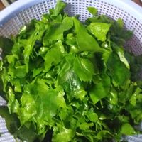 Juicing up breakfast with celeric, lime and our own palm sugar which makes anything taste great. at Bar Ang in Battambang