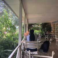 Beautiful cafe setting   at Tin Roof Cafe - Karen in Nairobi