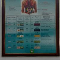 the benefits of being vegan at Kaun Im Yok in Vientiane