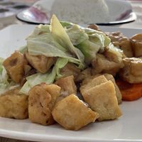 Stir-fried tofu with basil (40,000 kip) and rice (20,000 kip).  at Kaun Im Yok in Vientiane