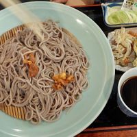 Soba noodles 🍜 at Sawa in Osaka