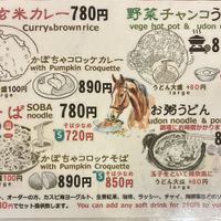 Noodle and rice menu: some vegan options at Sawa in Osaka