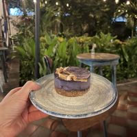 Vegan blueberry cheesecake   at The Garden Café in Granada