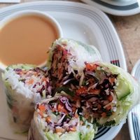 Summer rolls at Phota Vietnamese Street Food in North West London