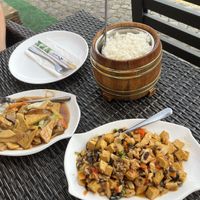   at Kitajski Vrt in Ptuj