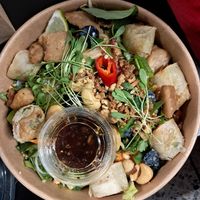 Bowl with spring rolls, vegan chicken and rice noodles at Yummy Bowl in Brussels