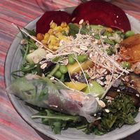 Lunch bowl at Yummy Bowl in Brussels