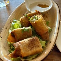 Moroccan “meat” cigars  at Hummus Bar in Haifa