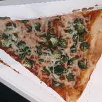 daiya cheese w broccoli and peppers (the tree hugger) at Lazy Moon Pizza - Colonial Dr in Orlando