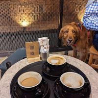  at The Hand Coffee in Kusadasi