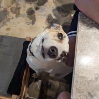  at The Hand Coffee in Kusadasi