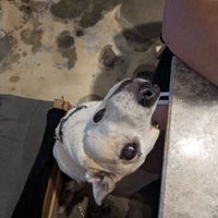  at The Hand Coffee in Kusadasi