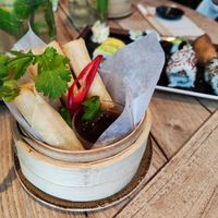 Spring rolls at Negishi in Zug