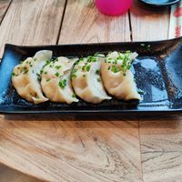 Gyozas at Negishi in Zug