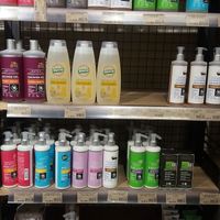  at Organic market in Barcelona