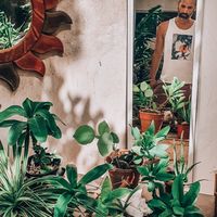 The secret garden is amazing at Orgánico in Merida