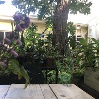 Tranquill space   at Orgánico in Merida