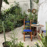   at Orgánico in Merida