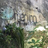 Wall of the lush, shaded courtyard.  at Orgánico in Merida