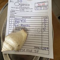   at Orgánico in Merida