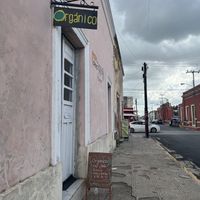   at Orgánico in Merida