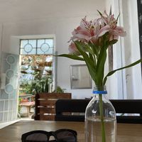 Interior   at Orgánico in Merida