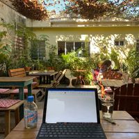   at Orgánico in Merida