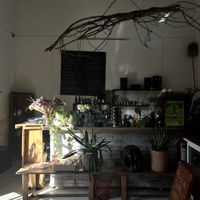   at Orgánico in Merida