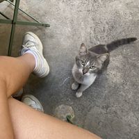   at Village in Istanbul