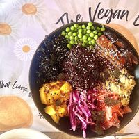 Best vegan meal I’ve ever had in Egypt (and maybe the world!)  at The Vegan Lab in Dahab