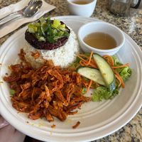 Mock chicken and pork on ricee  at Flower Lantern in Toronto