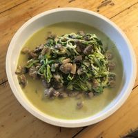 Mushroom pasta. On a special request, I was given Zoodles. Must try   at Travel Yoga Cafe in New Delhi