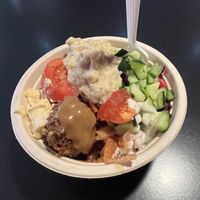 My large falafel bowl  at Amsterdam Falafelshop in Miami