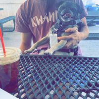 vegan donuts at Dank Donuts in Big Bear Lake